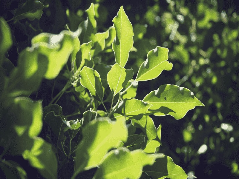 迪奥试管小样真假,试管医保报销广西